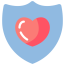 shield_6005943